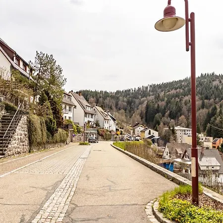 Sonnenhof Apartment Triberg im Schwarzwald