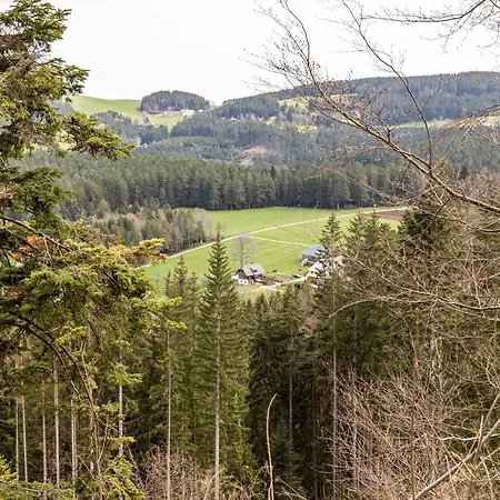 Sonnenhof Apartment Triberg im Schwarzwald